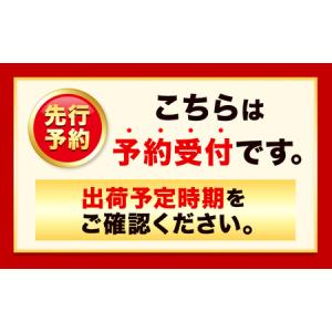 ふるさと納税 シャインマスカット・ピオーネ詰め...の詳細画像1