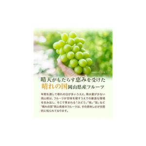 ふるさと納税 シャインマスカット・ピオーネ詰め...の詳細画像2