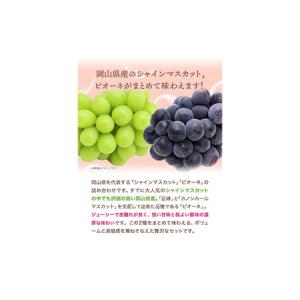 ふるさと納税 シャインマスカット・ピオーネ詰め...の詳細画像3