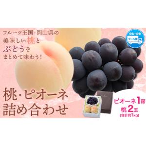 ふるさと納税 桃・ピオーネ詰め合わせ 約1kg 白桃 ぶどう 岡山県笠岡市
