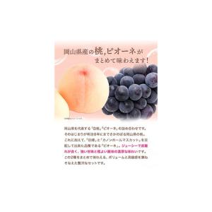 ふるさと納税 桃・ピオーネ詰め合わせ 約1kg...の詳細画像3