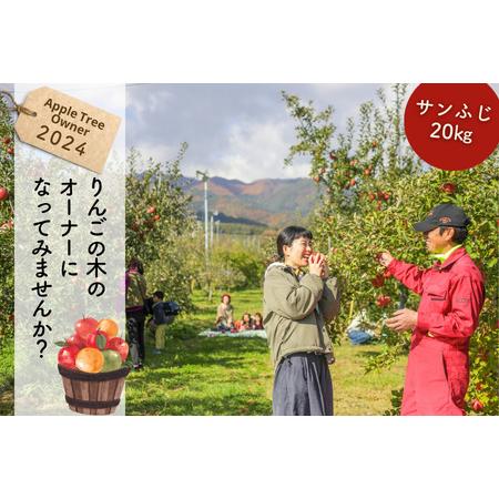 ふるさと納税 KO01-24A りんごの木のオーナー（サンふじ）【20kg限定】  長野県松川町