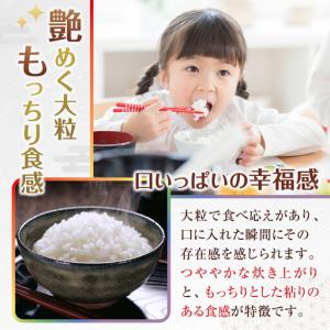 ふるさと納税 米 にじのきらめき 和歌山県産 ...の詳細画像3