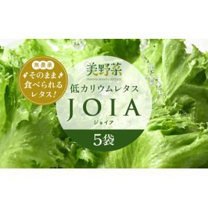 ふるさと納税 低カリウムレタス 美野菜 「JOIA」 5袋 クリーンルーム栽培 無農薬 鮮度長持ち 【野菜 生野菜 レタス サラダ 水耕栽培 洗わず食べ.. 福井県美浜町｜furunavi