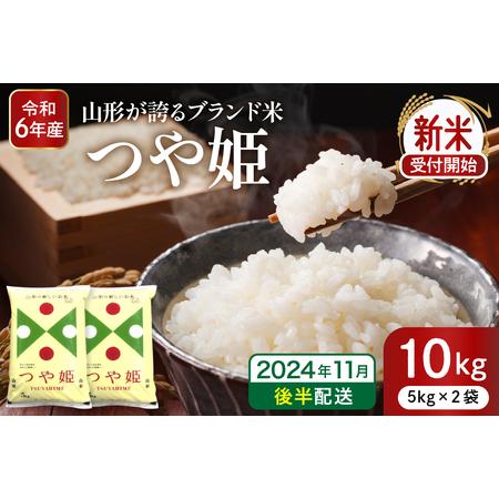 ふるさと納税 【令和6年産 先行予約】つや姫10kg(2024年11月後半送付) 山形県 東根市産 ...