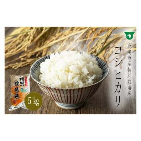 ふるさと納税 鹿嶋市の子どもたちが食べている特別栽培米コシヒカリ（5kg×1袋）(KBS-1)  茨...