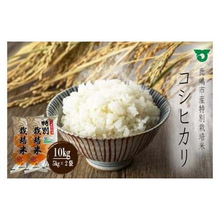 ふるさと納税 鹿嶋市の子どもたちが食べている特別栽培米コシヒカリ（5kg×2袋 計10kg）(KBS...
