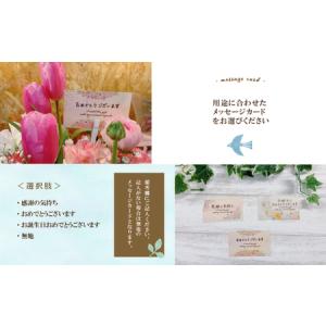 ふるさと納税 26-941.【3回定期便】<1...の詳細画像2