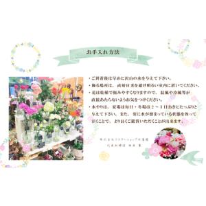 ふるさと納税 26-941.【3回定期便】<1...の詳細画像4