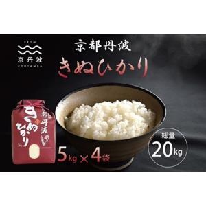 ふるさと納税 京丹波きぬひかり 20kg 令和5年産 京都 米 精米 キヌヒカリ ※北海道・沖縄・そ...