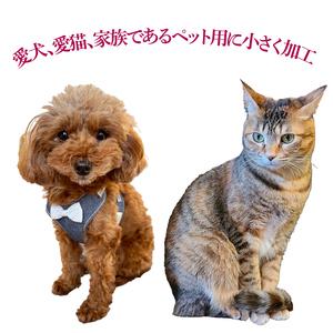 ふるさと納税 鹿嶋市産!鹿畑ポテト小屋の紅はる...の詳細画像3