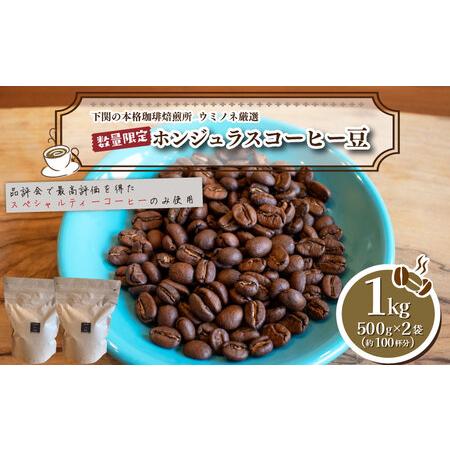 ふるさと納税 【深煎り】 訳あり コーヒー豆 1kg ( 500g × 2袋 ) ホンジュラス ( ...