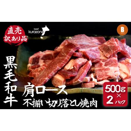 ふるさと納税 【DAS003・訳あり】小林市産黒毛和牛肩ロース不揃い切り落とし焼肉500ｇ×2Ｐ（国...