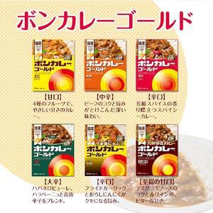 ふるさと納税 【定期便 全12回】ボンカレーゴ...の詳細画像4