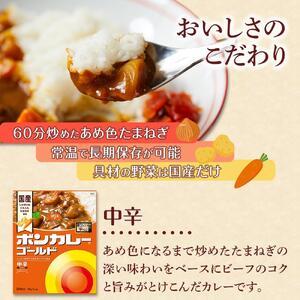 ふるさと納税 【定期便 全12回】ボンカレーゴ...の詳細画像1