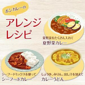 ふるさと納税 【定期便 全12回】ボンカレーゴ...の詳細画像3