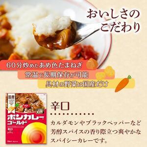 ふるさと納税 【定期便 全12回】ボンカレーゴ...の詳細画像1