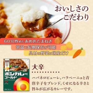 ふるさと納税 【定期便 全12回】ボンカレーゴ...の詳細画像1
