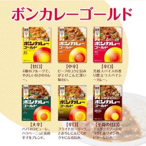 ふるさと納税 【定期便 全12回】ボンカレーゴ...の詳細画像4