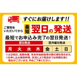 ふるさと納税 《最短翌日発送》【定期便11ヶ月...の詳細画像1