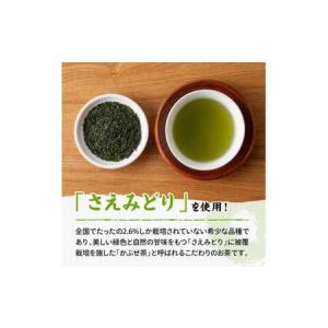 ふるさと納税 宮崎県産茶 深蒸煎茶(赤)100...の詳細画像1