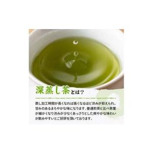 ふるさと納税 宮崎県産茶 深蒸煎茶(赤)100...の詳細画像2