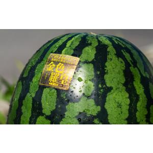 ふるさと納税 尾花沢産スイカ すいか 金色羅皇...の詳細画像2