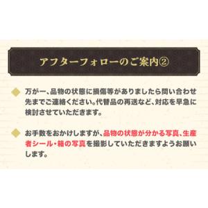 ふるさと納税 尾花沢産スイカ すいか 金色羅皇...の詳細画像4