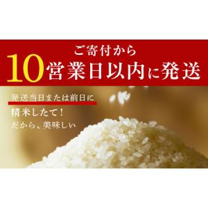 ふるさと納税 北海道産 ななつぼし 10kg ...の詳細画像1