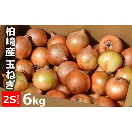 ふるさと納税 【先行予約・令和6年7月下旬〜発送】徳永農園 玉ねぎ 2Sサイズ 6kg（約73個）[...