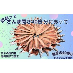 ふるさと納税 訳あって さんま開き４０枚 分け合って ...