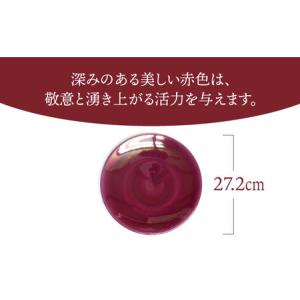 ふるさと納税 【美濃焼】ボナペティ9プレート ...の詳細画像2