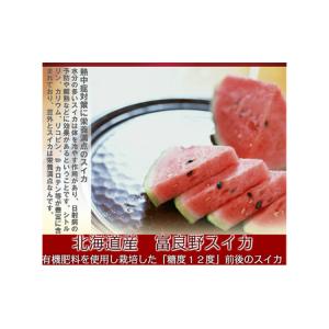 ふるさと納税 【2026年夏発送】スイカ 2L...の詳細画像1