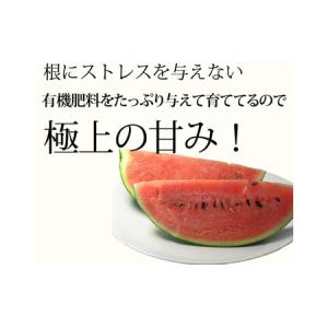 ふるさと納税 【2026年夏発送】スイカ 2L...の詳細画像2