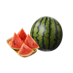 ふるさと納税 【2026年夏発送】スイカ 2L...の詳細画像4