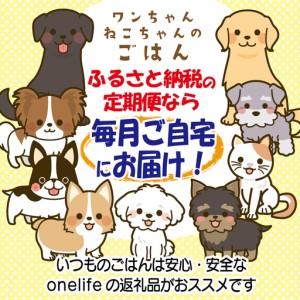 ふるさと納税 【定期便】国産 無添加 ドッグフ...の詳細画像4