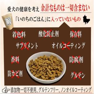 ふるさと納税 【定期便】国産 無添加 ドッグフ...の詳細画像2