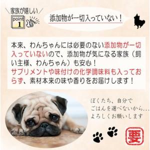ふるさと納税 【定期便】国産 無添加 ドッグフ...の詳細画像3