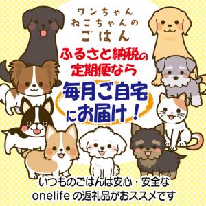 ふるさと納税 【定期便】国産 無添加 ドッグフ...の詳細画像4