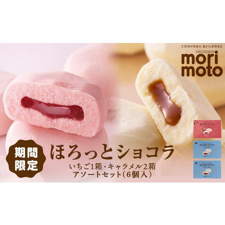 ふるさと納税 ほろっとショコラ 2種 詰め合わせ 3箱セット 食べ比べ お土産 お菓子 焼き菓子 ス...