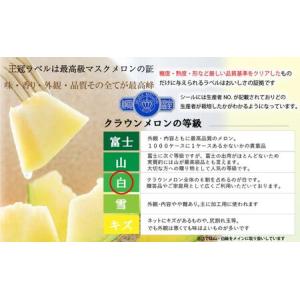 ふるさと納税 クラウンメロン【並(白等級)】特...の詳細画像3