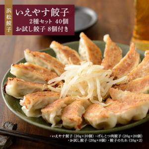 ふるさと納税 餃子 和風だし 肉餃子 いえやす 2種 48個 食べ比べ 餃子 静岡県浜松市