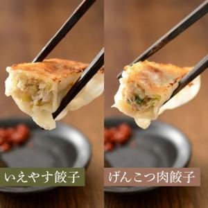 ふるさと納税 餃子 和風だし 肉餃子 いえやす...の詳細画像2