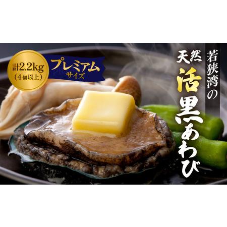 ふるさと納税 日本海若狭湾の 天然 活黒アワビ プレミアムサイズ 計2.2kg（4個以上）鮮度抜群！...