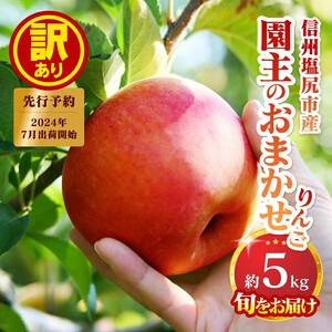 ふるさと納税 2024年発送　先行予約　【訳あり】園主のおまかせりんご【約5kg】[6099439] 長野県塩尻市｜ふるなび(ふるさと納税)