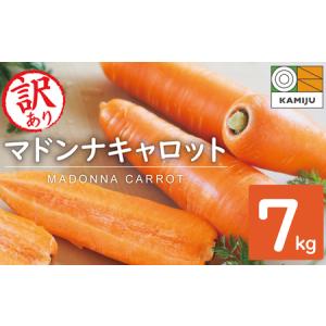 ふるさと納税 【予約受付】＜フジテレビ『どっちのふるさと？』で紹介されました！＞訳あり！こどもも食べられる甘み！「マドンナキャロット」 7.. 愛知県碧南市