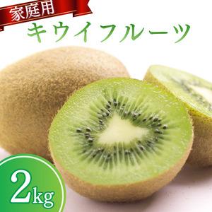 ふるさと納税 ＜2024年11月より発送＞家庭用 キウイフルーツ2kg＋60g（傷み補償分）【わけあ...