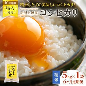 ふるさと納税 令和7年産 先行予約 新潟 コシヒカリ 定期便 新米 ふるさと納税 令和7年産 先行予約 新潟 コシヒカリ 定期便 新米