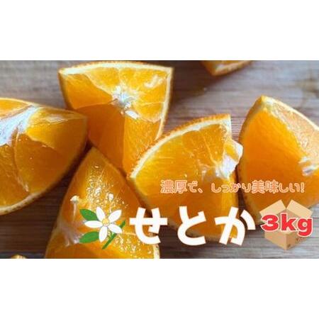 ふるさと納税 【2027年先行予約】せとか 3kg ご家庭用 みかん 愛媛 先行予約 【2027年2...