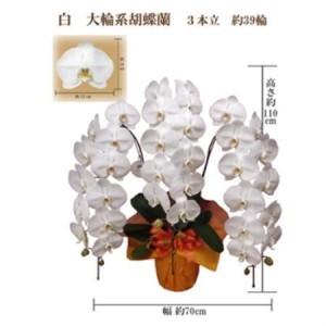 ふるさと納税 御祝　胡蝶蘭　白大輪3本立　39輪　ラッピングカラーピンク_花・観葉植物 胡蝶蘭 花 _【1258082】 大阪府岬町